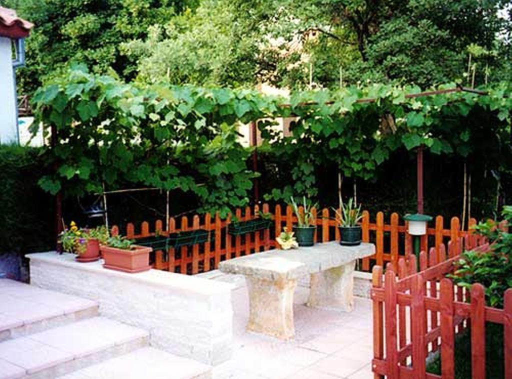 Apartment Felix Poreč Dış mekan fotoğraf